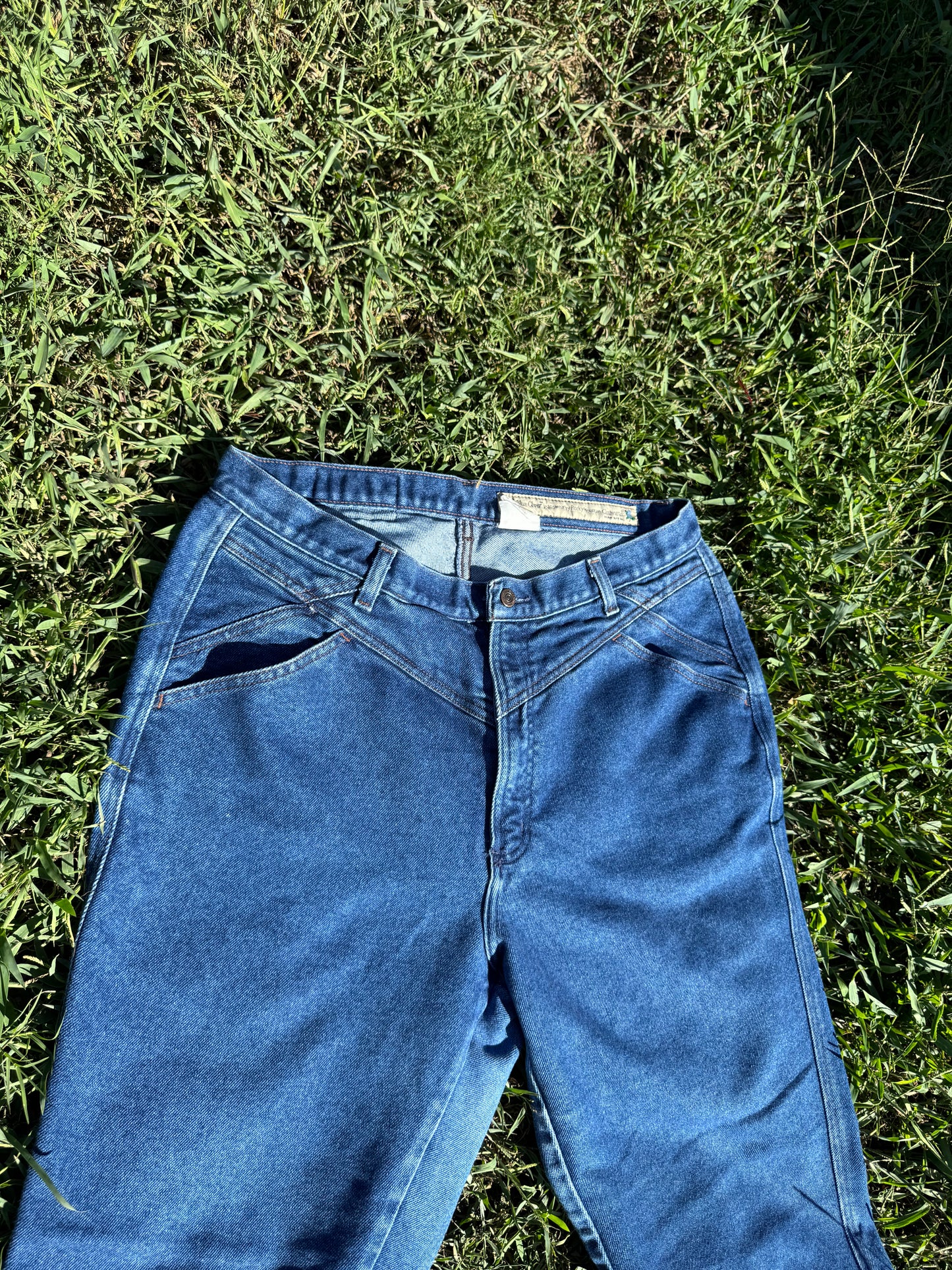 The Blue Clover Jeans - 34in